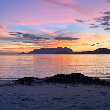 オルビア Rosa Dei Venti - Casa Maestrale - Sardegna - Iun R2217ヴィラ エクステリア 写真