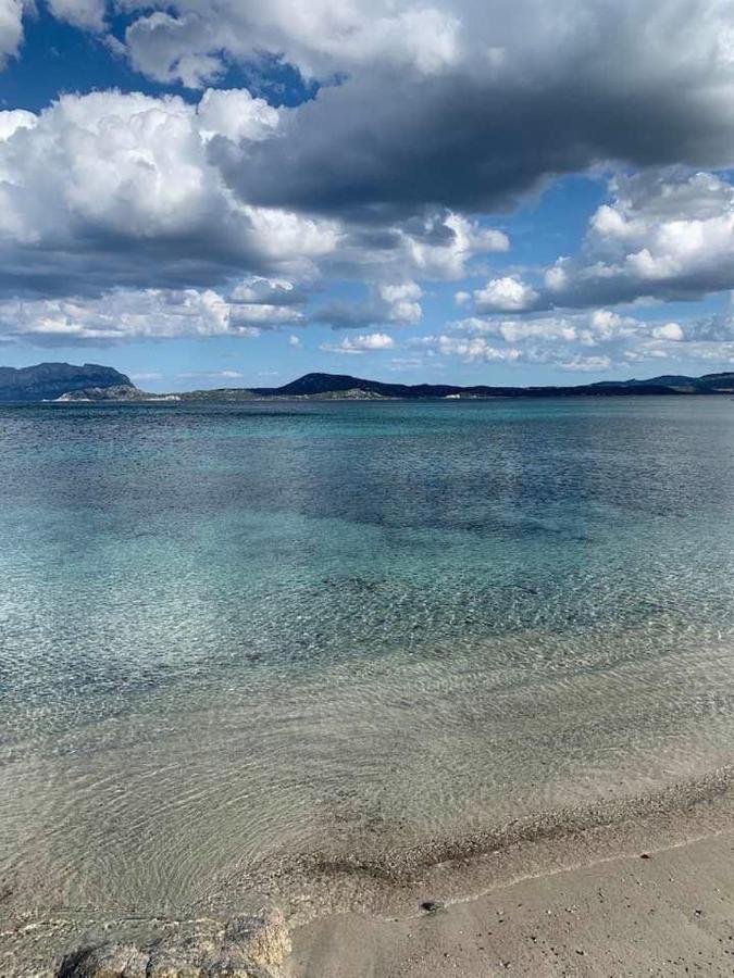 オルビア Rosa Dei Venti - Casa Maestrale - Sardegna - Iun R2217ヴィラ エクステリア 写真