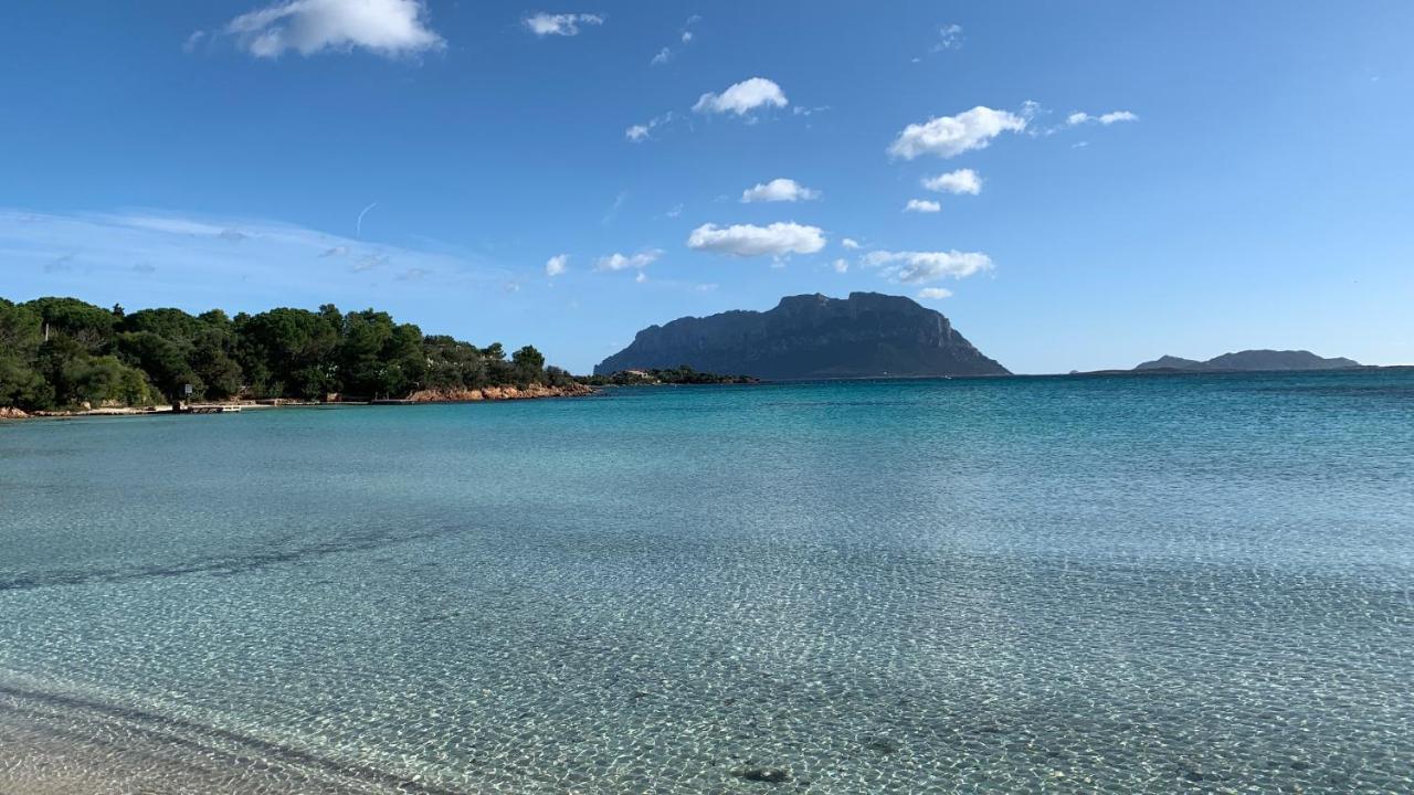 オルビア Rosa Dei Venti - Casa Maestrale - Sardegna - Iun R2217ヴィラ エクステリア 写真